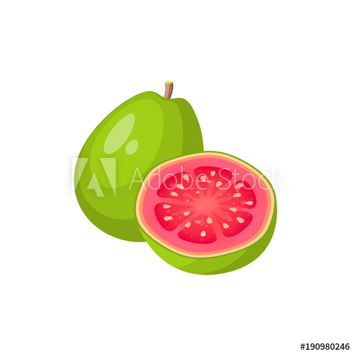 Summer Tropical Fruits For Healthy Lifestyle Guava, Whole Fruit 500x500 Summer Tropical Fruits For Healthy Lifestyle Guava, Whole Fruit