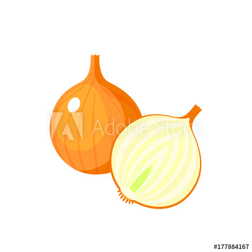 Vegetables White Onion Bulb And Half Vector Illustration Cartoon 500x500 Vegetables White Onion Bulb And Half Vector Illustration Cartoon