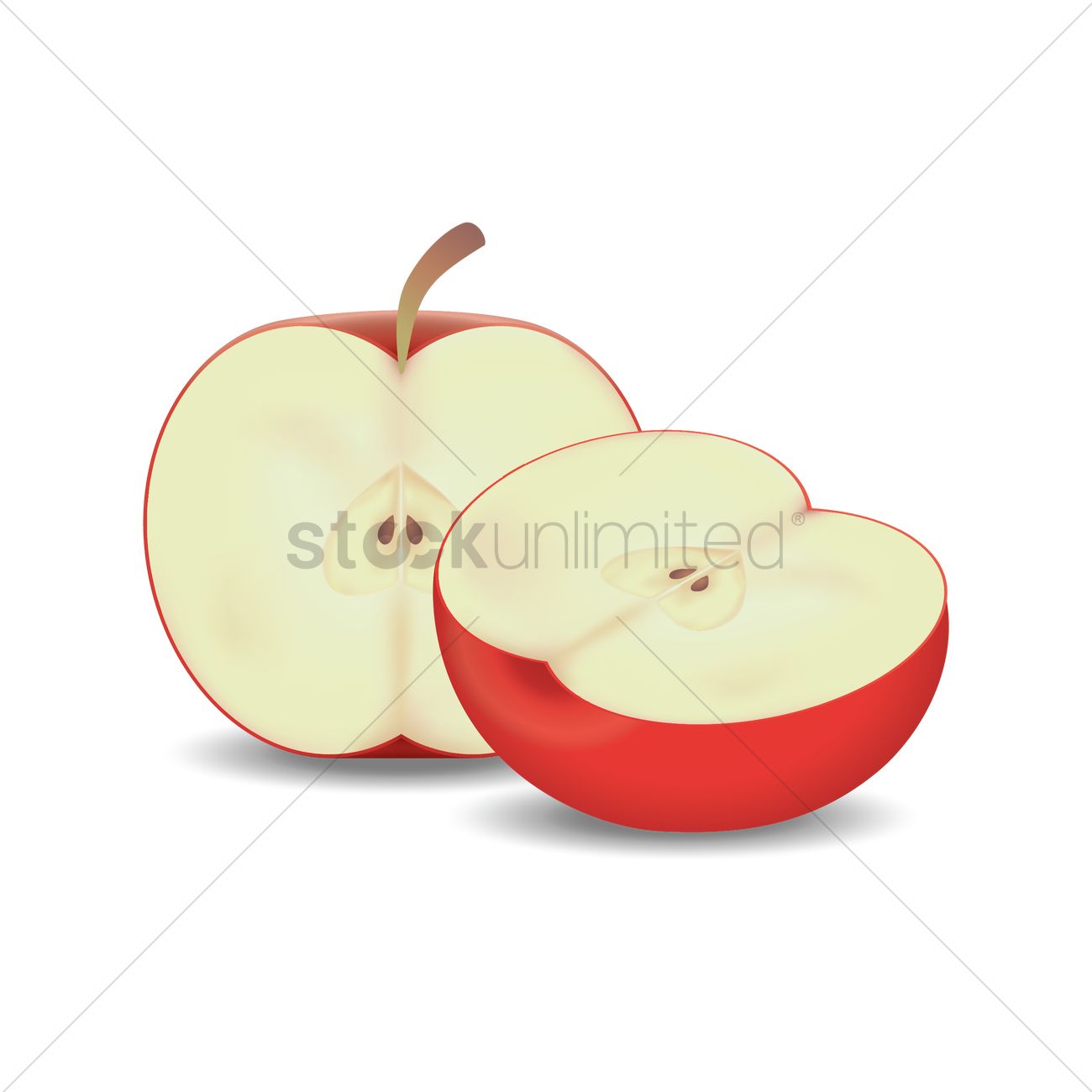 Apple Cut Into Half Vector Image 1300x1300 Apple Cut Into Half Vector Image