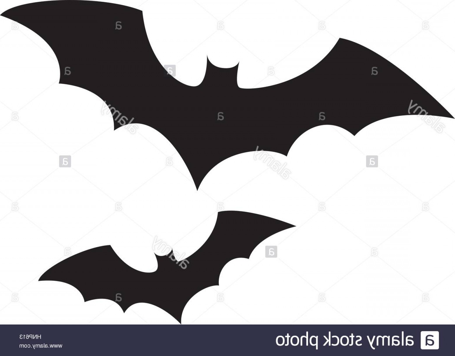 Halloween Bat Vector at Vectorified.com | Collection of Halloween Bat ...