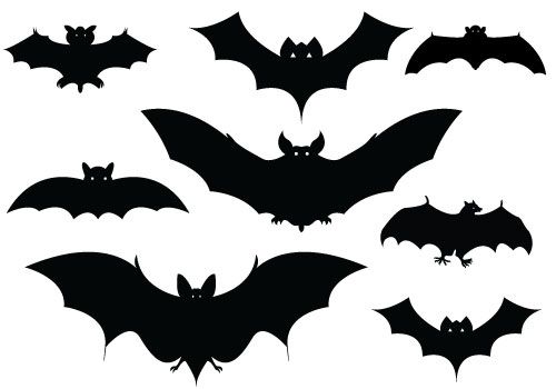 500x350 Halloween Bats Silhouettes Halloween