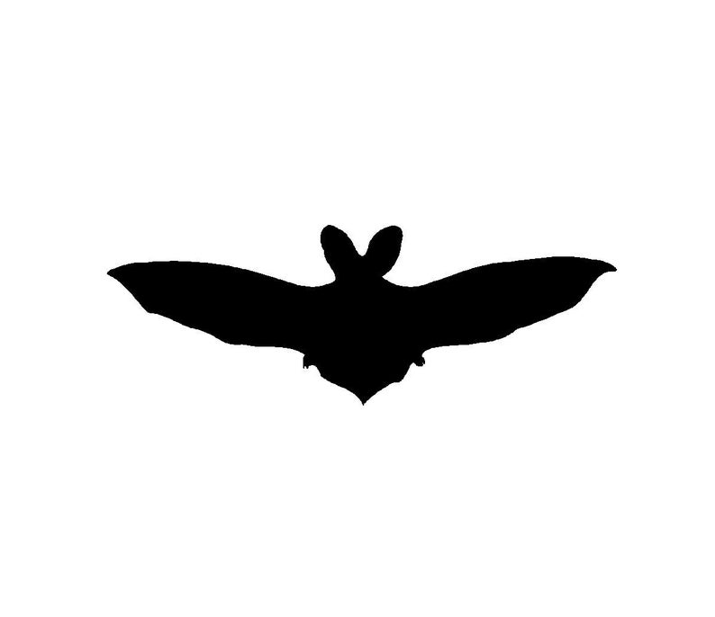 794x686 Bat Vector Graphic Digital Download Halloween Graphic Etsy