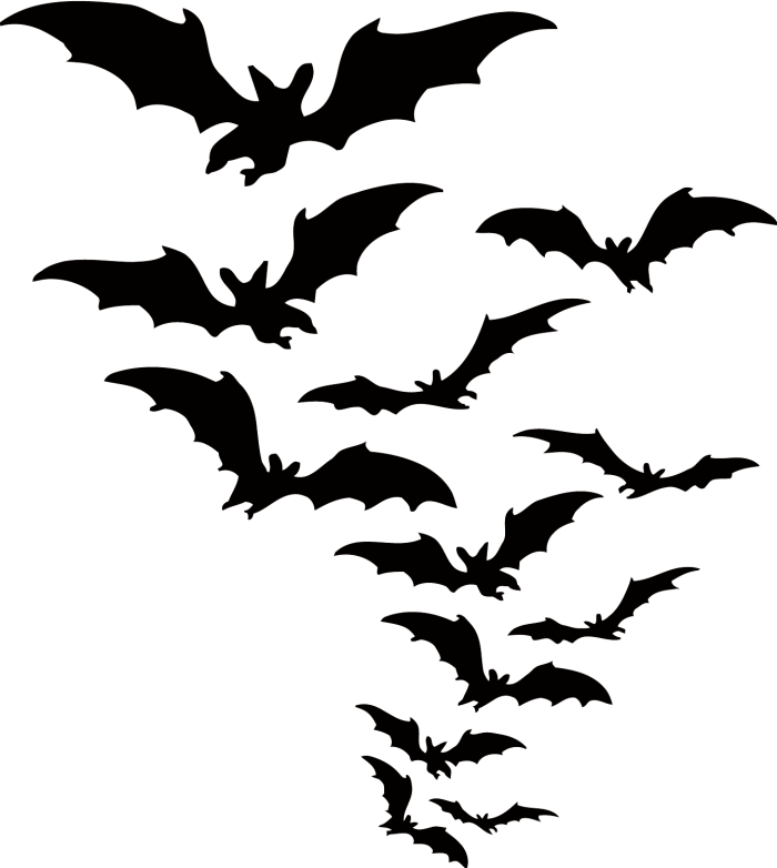 700x782 Bat Vector Halloween Download Hd Png Vector, Clipart