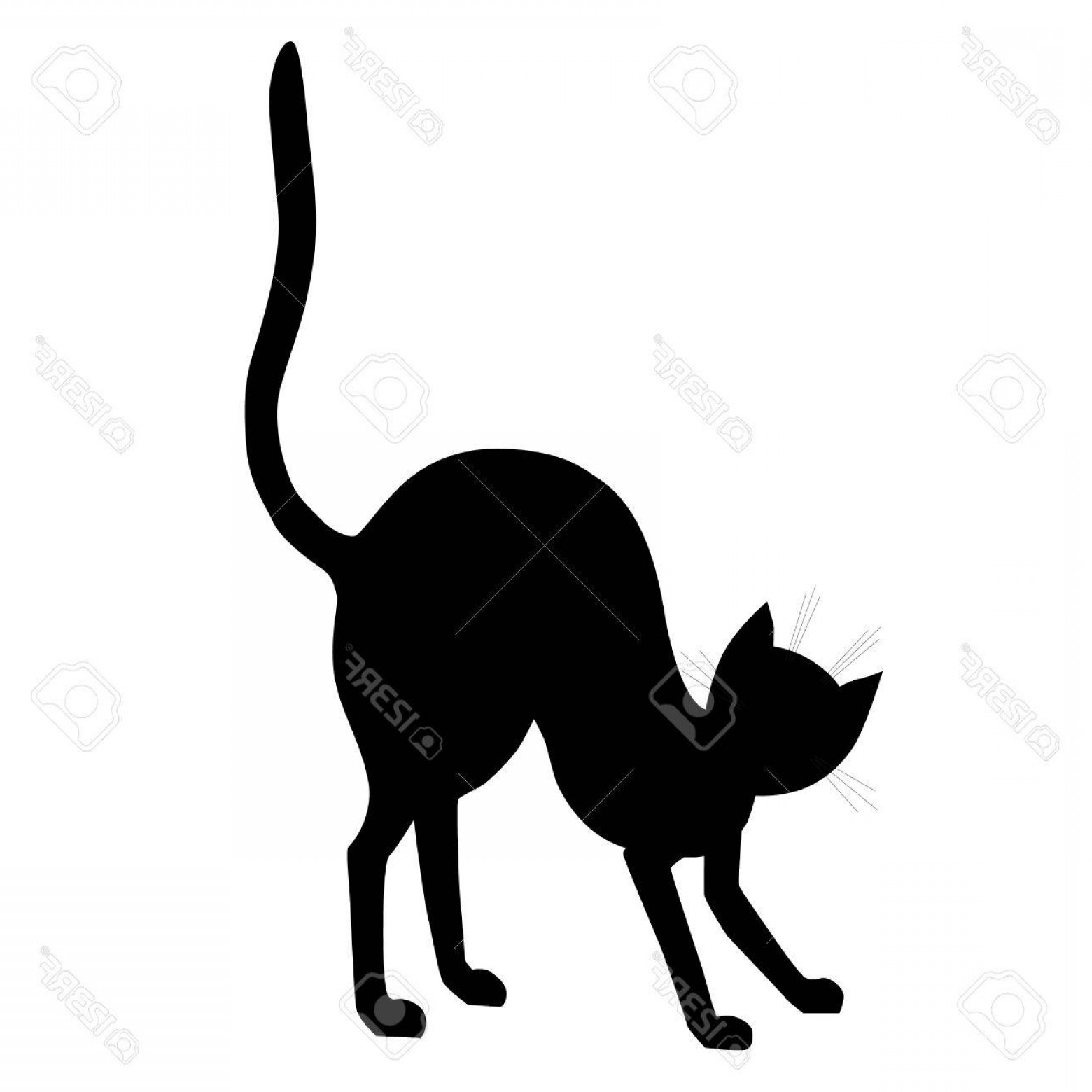 1560x1560 Halloween Cat Silhouette Vector Wallkeeper