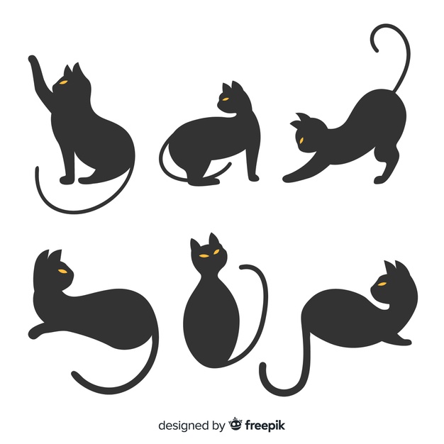 626x626 Halloween Cat Vectors, Photos And Free Download