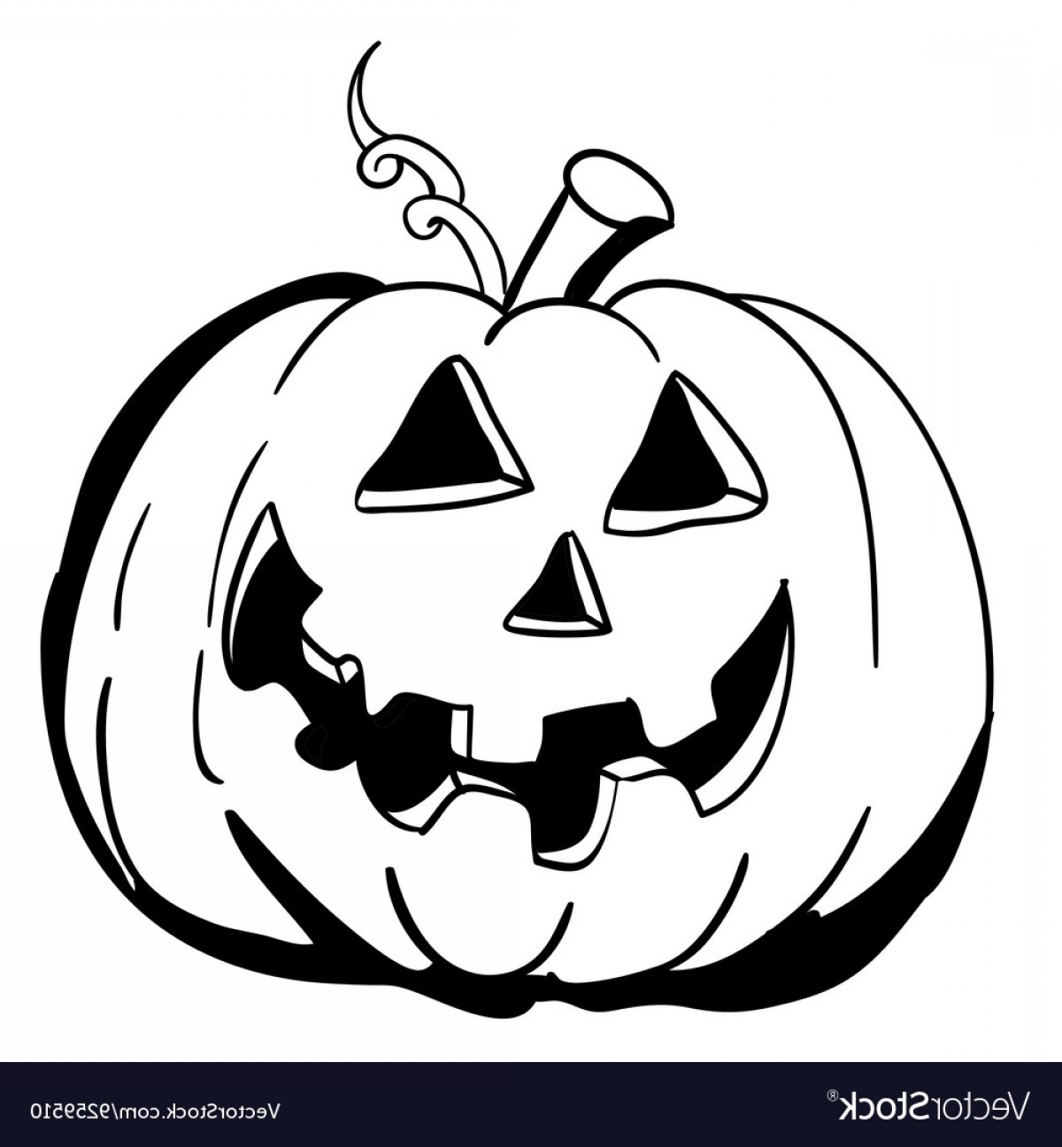 1200x1296 White Pumpkin Vector Sarahgardan