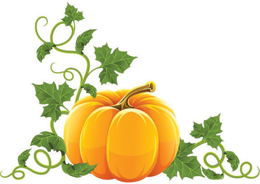 520x368 Free Halloween Pumpkin Vectors Graphics Free Vector Download