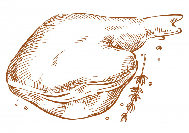Ham Vector Sketch Hand Drawing Vector Premium Download 626x442 Ham Vector Sketch Hand Drawing Vector Premium Download