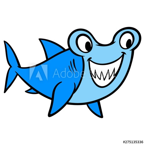 500x500 Hammerhead Shark