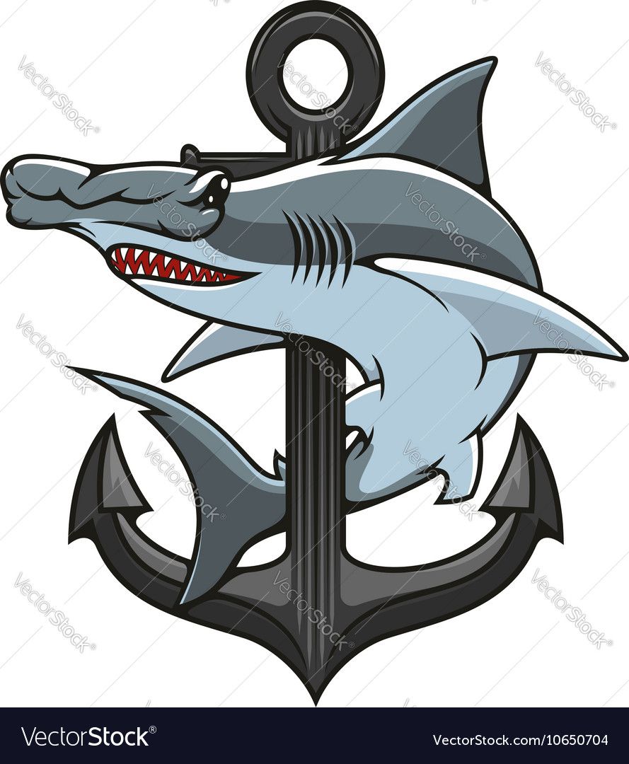 889x1080 Hammerhead Shark And Anchor Heraldic Icon Vector Image