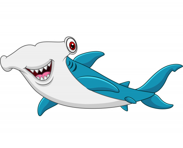 626x508 Cartoon Hammerhead Shark Vector Premium Download