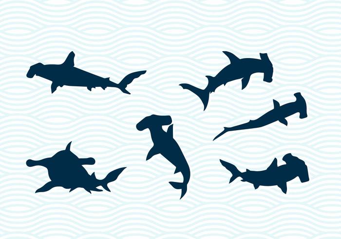 700x490 Hammerhead Sharks Vector Silhouettes