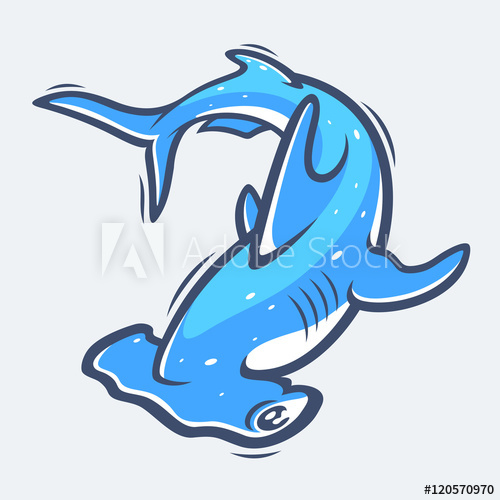 500x500 Hammerhead Shark Sea Life Vector Illustration