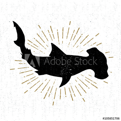 500x500 Hand Drawn Textured Icon With Hammerhead Shark Vector Illustration