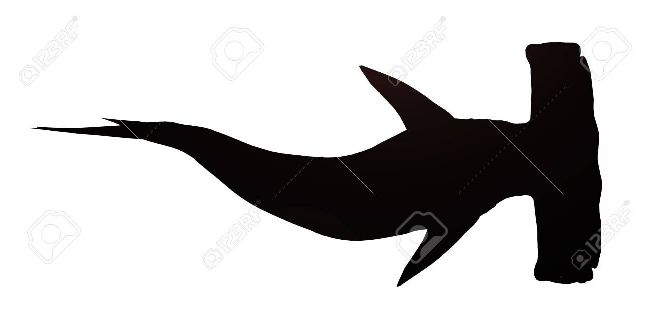 1300x645 Huge Collection Of 'hammerhead Shark Silhouette' Download More