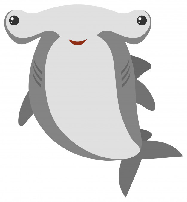 626x675 Hammerhead Shark Vectors, Photos And Free Download