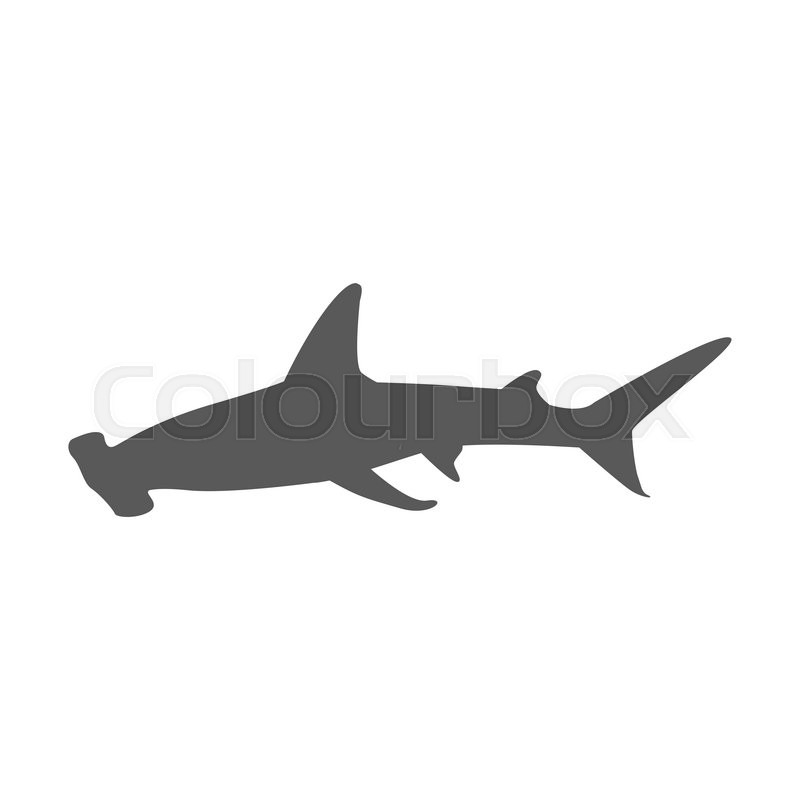 800x800 Hammerhead Shark Icon Isolated On Stock Vector Colourbox
