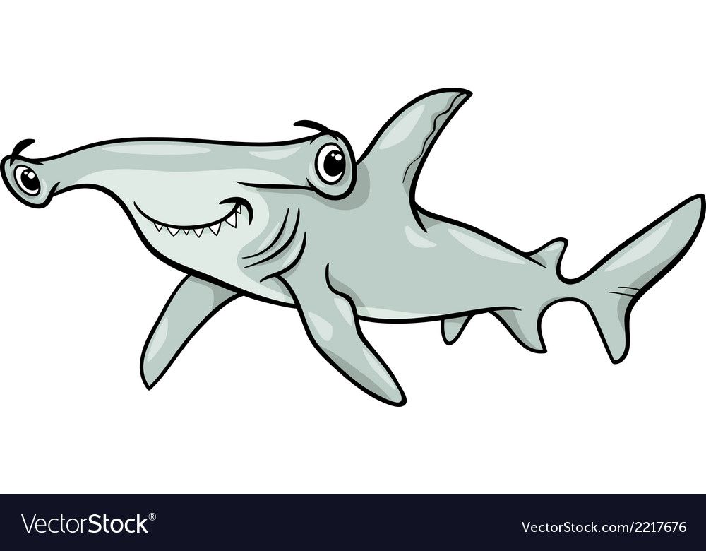 1000x780 Image Shark Illustration, Cartoon Sea Animals