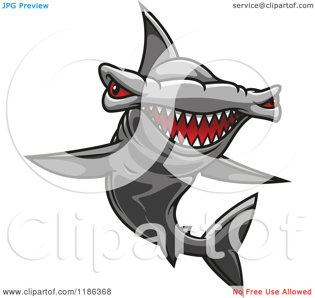 1080x1024 Clipart Of A Red Eyed Hammerhead Shark