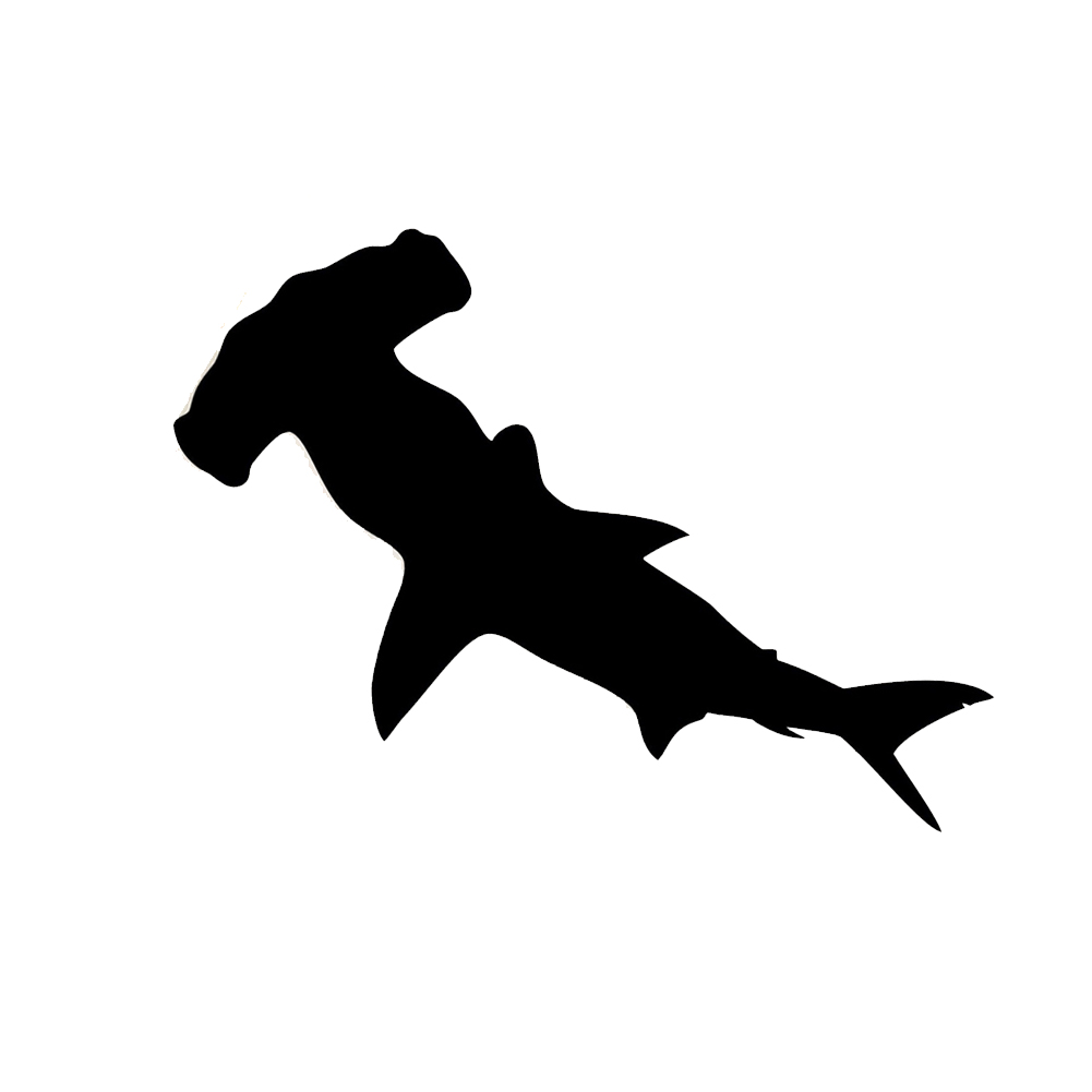 1001x1001 Collection Of 'hammerhead Shark Silhouette' Download More Than