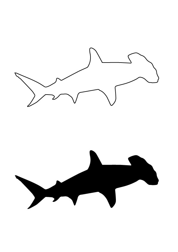 Hammerhead Vector at Vectorified.com | Collection of Hammerhead Vector ...