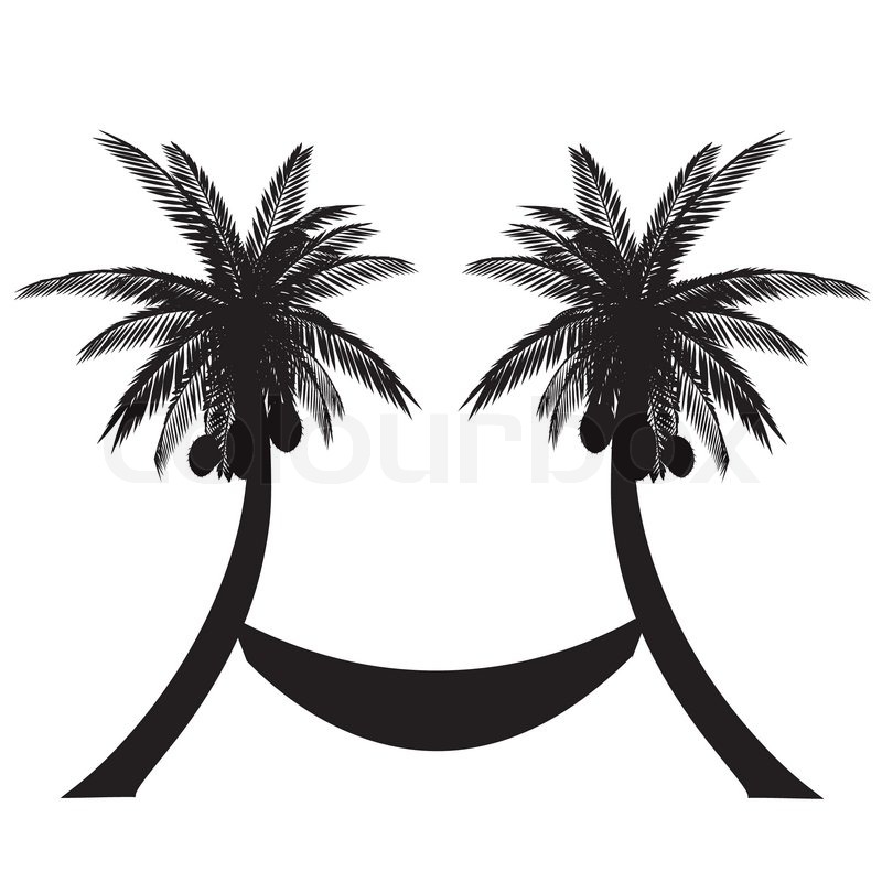 800x800 Palms And Hammock