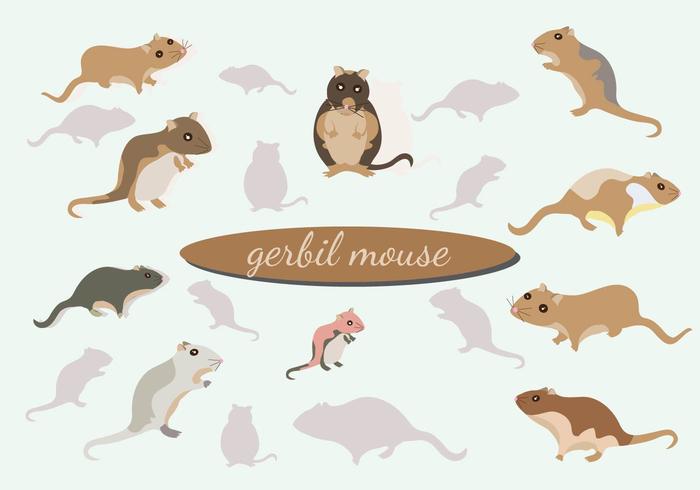 700x490 Hamster Free Vector Art