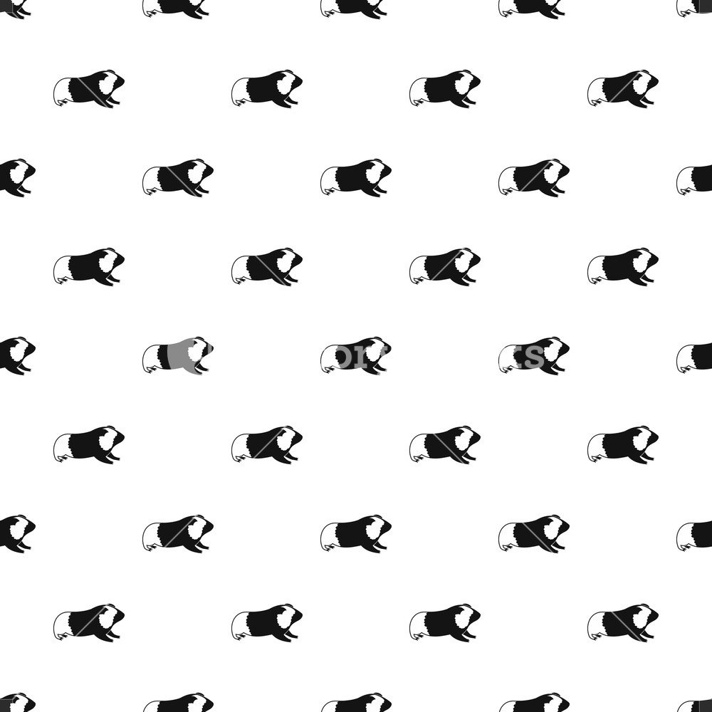1000x1000 Hamster Pattern Simple Illustration Of Hamster Vector Pattern