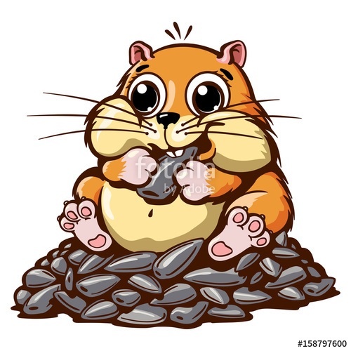 500x500 Hamster Vector Illustration Stock Image And Royalty Free Vector