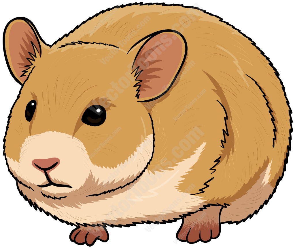 1024x866 Hamster Clipart