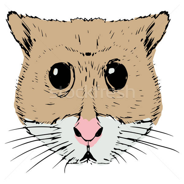 600x600 Hamster Vector Illustration Oleksandr Kovalenko