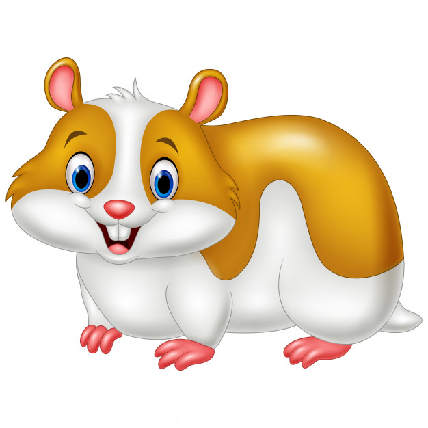 626x626 Cartoon Funny Hamster Vector Premium Download