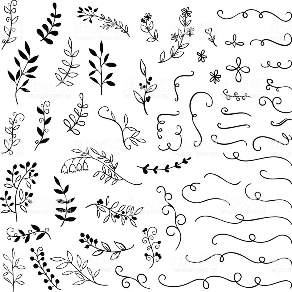 1228x1227 Hand Drawn Borders Branches Leaves Decoration Set For Valentines