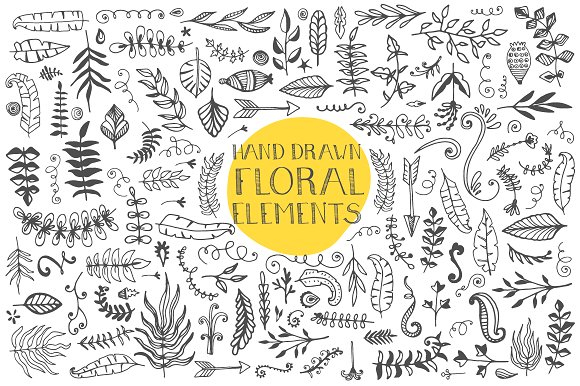 Hand Drawn Floral Vector