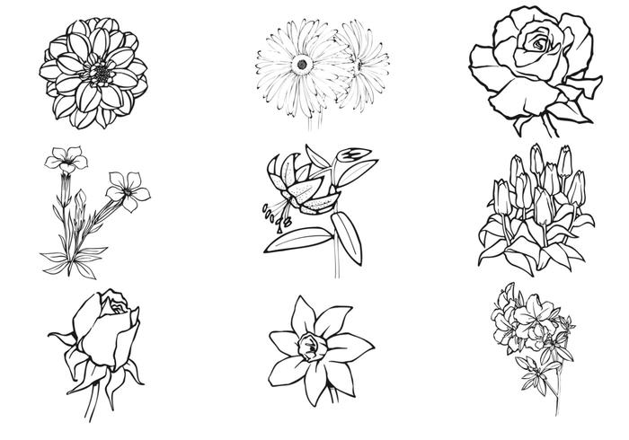 700x490 Hand Drawn Flower Brush Set