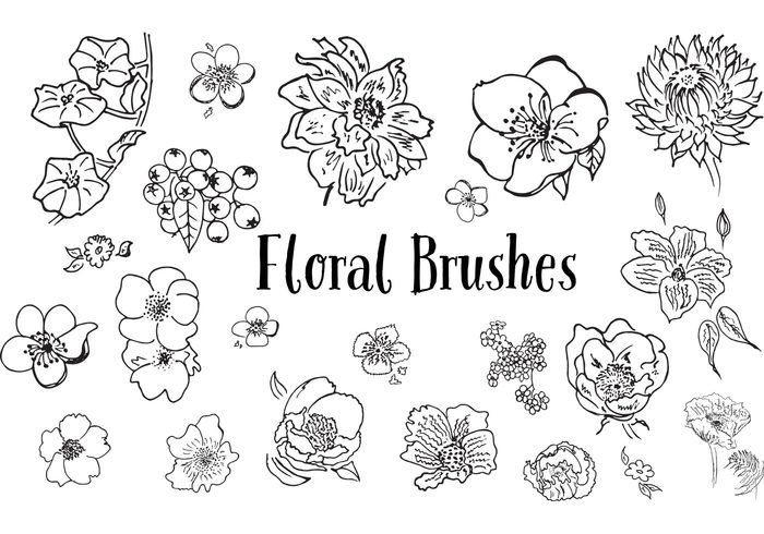 700x490 Hand Drawn Flower Vectors The Smell Of Roses