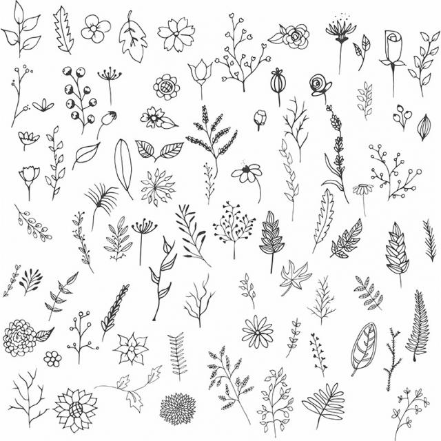 640x640 Hand Drawn Flowers Png, Vector, And Clipart With Transparent