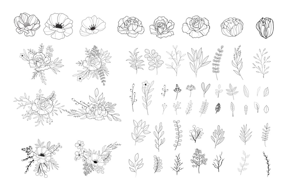 1162x774 Hand Drawn Floral Vector Collection Free Design Resources