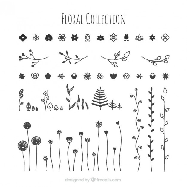 626x626 Hand Drawn Floral Collection Vector Free Download