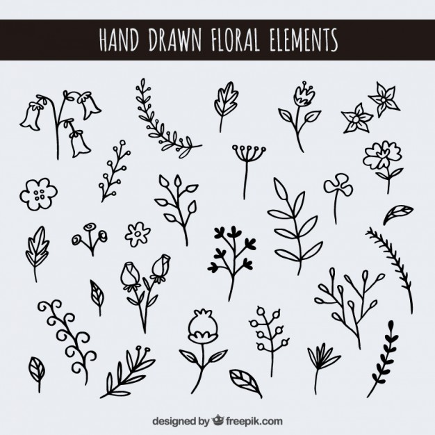 626x626 Hand Drawn Floral Elements Vector Free Download