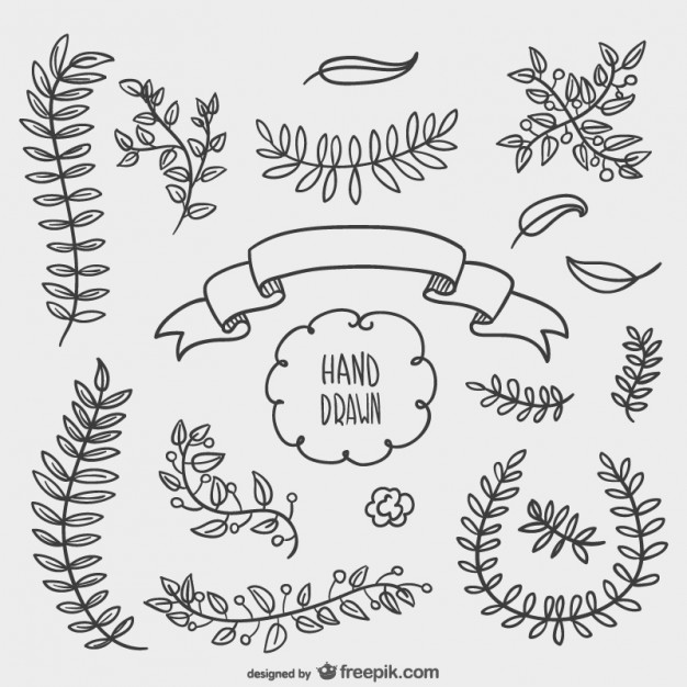 626x626 Hand Drawn Floral Ornaments Vector Free Download
