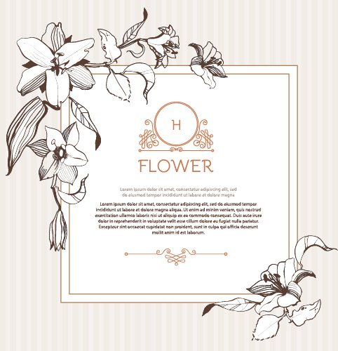 482x500 Hand Drawn Flower Vintage Frame Vector Free Vector In Encapsulated