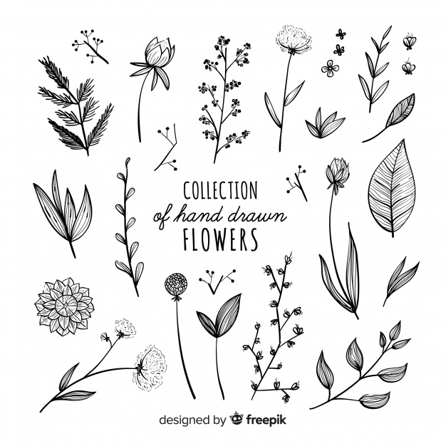 626x626 Lovely Hand Drawn Flowers Collection Vector Free Download
