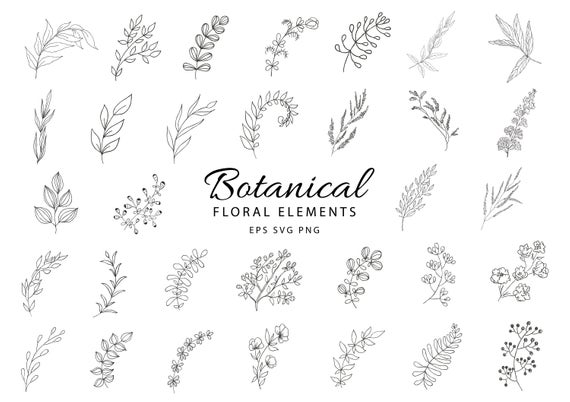 Hand Drawn Floral Vector at Vectorified.com | Collection of Hand Drawn ...