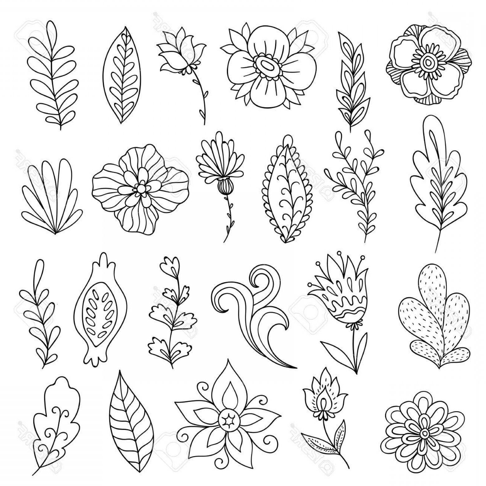 1560x1560 Photostock Vector Set Of Vector Abstract Flowers And Plants Hand
