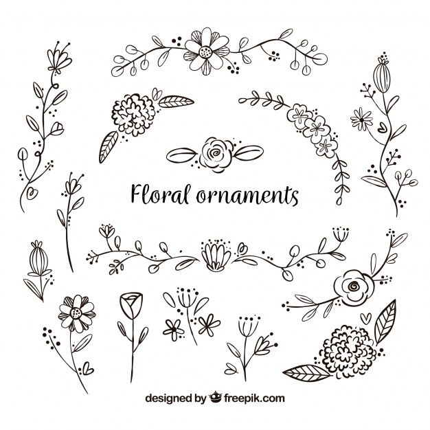 626x626 Set Of Hand Drawn Flower Ornaments Free Vector Floral Doodles