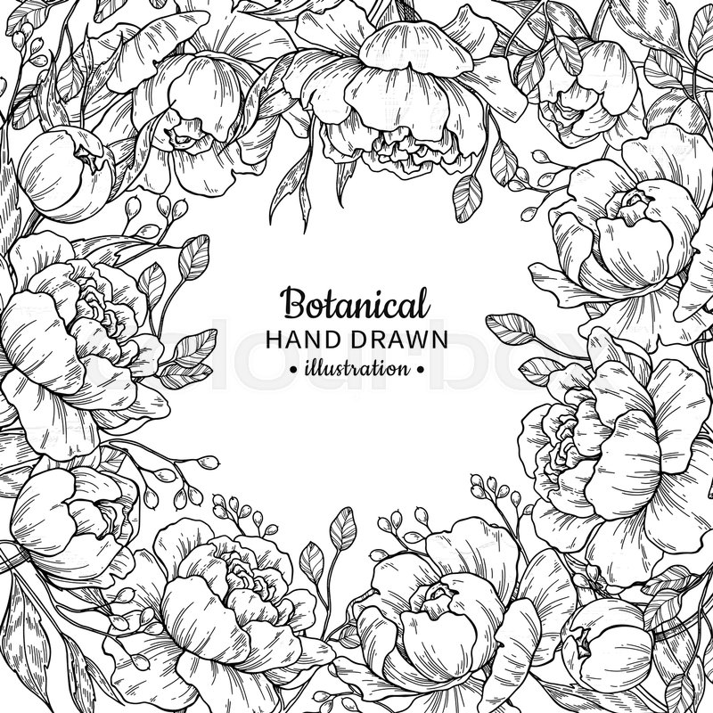 800x800 Vintage Flower Vector Frame Drawing Stock Vector Colourbox