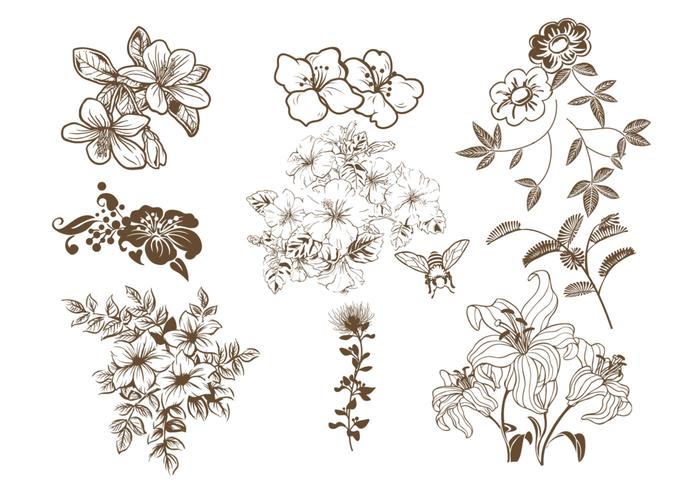 700x490 Hand Drawn Floral Brush Pack