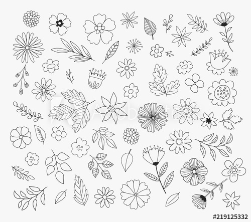 500x443 Hand Drawn Floral Design Elements Doodle Flower Vector
