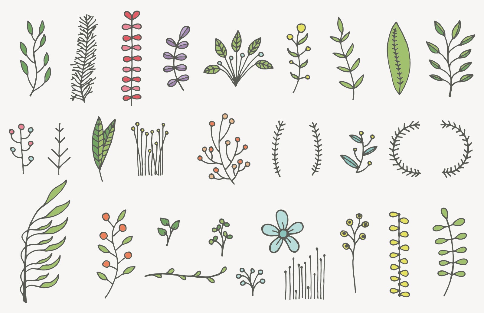 1600x1036 Hand Drawn Floral Elements Aurove